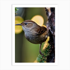 House Wren -Reimagined 4 Art Print