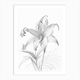 Lily Floral Quentin Blake Inspired Illustration 4 Flower Art Print