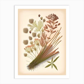 Caraway Seeds Spices And Herbs Retro Drawing 1 Art Print