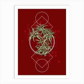 Vintage Common Sea Buckthorn Botanical with Geometric Line Motif and Dot Pattern n.0320 Art Print