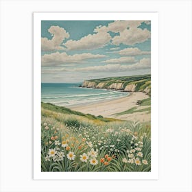 Irish Beach Art Print