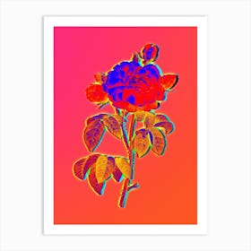 Neon Duchess of Orleans Rose Botanical in Hot Pink and Electric Blue n.0282 Art Print
