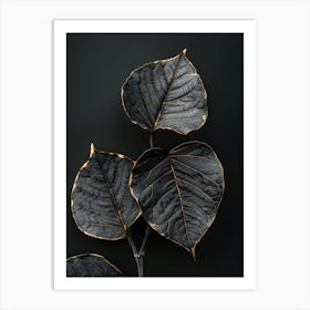 Black Leaves On A Black Background Art Print