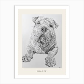 Sharpei Dog Line Sketch 1 Poster Art Print