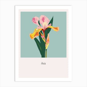 Iris 2 Square Flower Illustration Poster Art Print