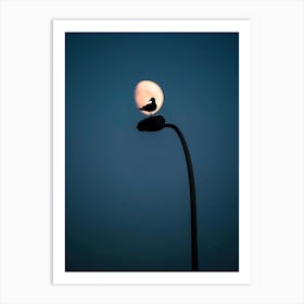 Silhouette Of A Bird On A Lamppost Art Print