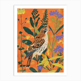 Spring Birds Hawk 1 Art Print