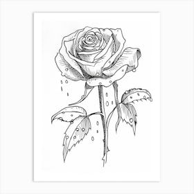 Rose Dew Line Drawing 2 Art Print