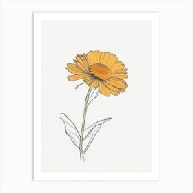 Calendula Floral Minimal Line Drawing 1 Flower Art Print