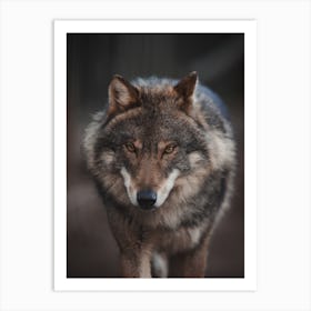 Wilderness Wolf Art Print