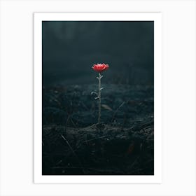 Single Red Flower In The Dark 1 Art Print