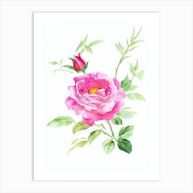 Rose 2 Watercolour Flower Art Print