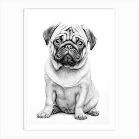 Pug Dog, Line Drawing 3 Art Print