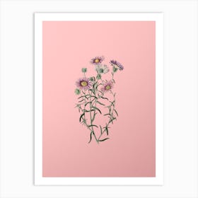 Vintage Hoary Diplopappus Flower Botanical on Soft Pink n.0893 Art Print