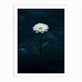 Single Flower In Water Art Print