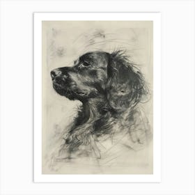 Clumber Spaniel Dog Charcoal Line 2 Art Print