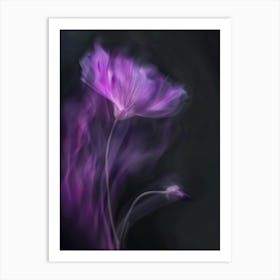 Purple Poppy Art Print