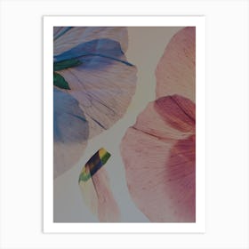 Flowers On Paper Art Print