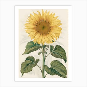 Sunflower 22 Art Print