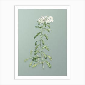 Vintage Small White Flowers Botanical Art on Mint Green n.0956 Art Print