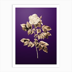 Gold Botanical Leschenault's Rose on Royal Purple n.1134 Art Print