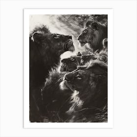 Barbary Lion Charcoal Drawing Interaction 3 Art Print