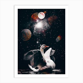 White Swan And Black Starry Sky Art Print