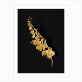 Vintage Giant Cabuya Botanical in Gold on Black n.0370 Art Print