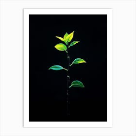 Green Plant On Black Background 1 Art Print