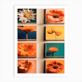 Collage, Colorful Flowers Art Print