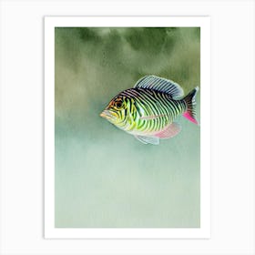 Zebra Turkeyfish Storybook Watercolour Art Print