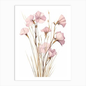 Floral Illustration Flax Flower 2 Art Print