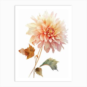 Dahlia 1 Art Print