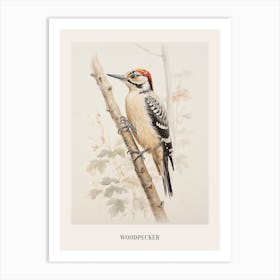 Vintage Bird Drawing Woodpecker 2 Poster Art Print