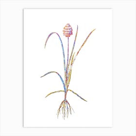 Stained Glass Veltheimia Abyssinica Mosaic Botanical Illustration on White Art Print