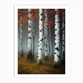 Birch Trees In The Fog 2 Art Print