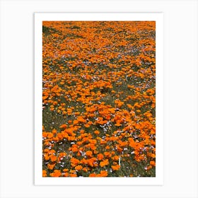 Antelope valley 1 Art Print