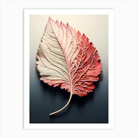 Leaf On A Black Surface Art Print