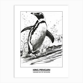 Penguin Hauling Out Of The Water Poster 8 Art Print