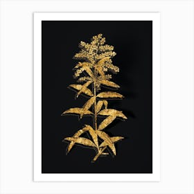 Vintage Lemon Verbena Branch Botanical in Gold on Black n.0538 Art Print