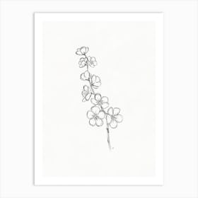 Cherry Blossom Sketch Art Print