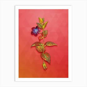 Vintage Greater Periwinkle Flower Botanical Art on Fiery Red n.0989 Art Print