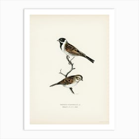 Reed Bunting, The Von Wright Brothers Art Print