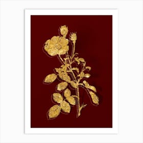 Vintage Sparkling Rose Botanical in Gold on Red n.0286 Art Print
