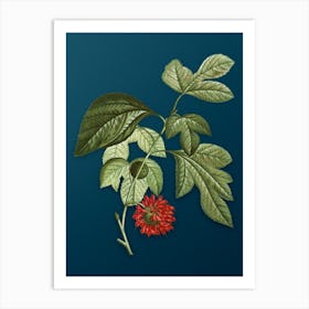 Vintage Paper Mulberry Flower Botanical Art on Teal Blue n.0818 Art Print