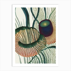 Lobed Comb Jelly Vintage Graphic Watercolour Art Print