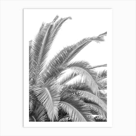 Black and white palmtree in Spain - botanical summer nature and travel photography by Christa Stroo Photography Art Print