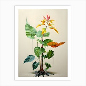 Bird Of Paradise Art Print