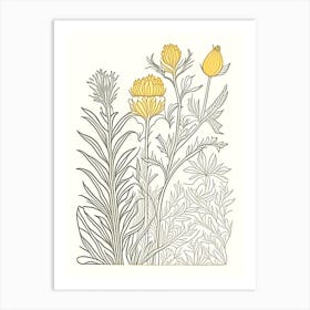 Turmeric Herb William Morris Inspired Line Drawing 1 Art Print