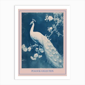 Floral White & Blue Peacock 1 Poster Art Print